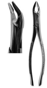 #150N Forceps (Z-1370) Enjoy Online
