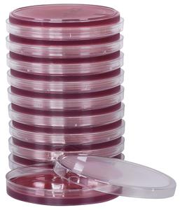 BOX/10: Prepared Media Chocolate Agar (GC Medium) Sale 2025