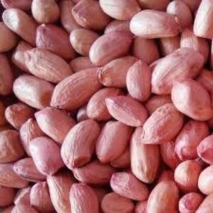 Groundnuts from Tanzania Shop Offer Online