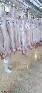 Goat Meat from Kenya Visit New Online