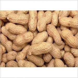 Groundnuts from Zimbabwe Cheap Best Wholesale