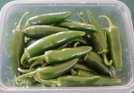 Jalapeno Pepper from Kenya Free Shipping Recommend