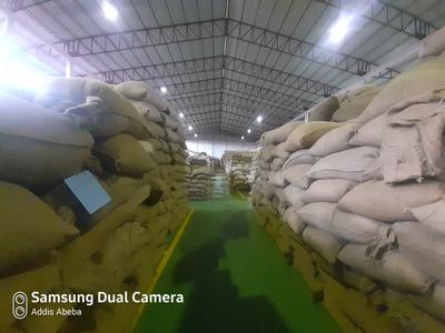 Green Natural Arabica Coffee from Ethiopia Buy Cheap 2025