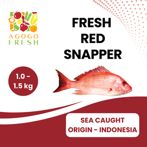 Fresh Sea Caught Red Snapper ( 1 - 2kg) The Cheapest Cheap Online