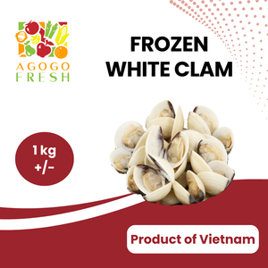 Frozen White Clam (1kg /-) Cheap Sale Newest
