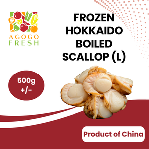 Frozen Hokkaido Boiled Scallop (L) - (500g /-) Sale Authentic