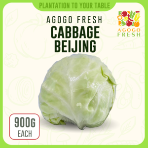 Cabbage Beijing Eastbay Online