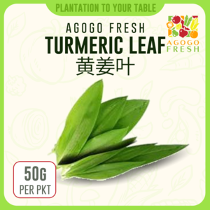 F61 Turmeric Leaves Online Cheap Quality