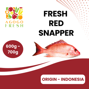 Fresh Red Snapper (600 - 700g) Wiki Cheap Online