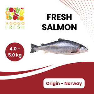 Fresh Norway Salmon (4 - 5kg) Amazon Cheap Pice