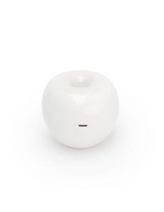 Fruit Fantasy Order Online