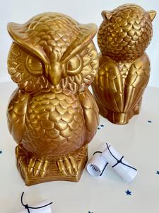 Chocolate Owl For Cheap Online