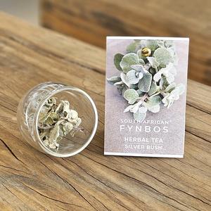 Herbal Tea - Silver Bush Get Authentic Cheap Online