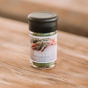 Culinary Herb - Cancer bush Ebay Cheap Pice