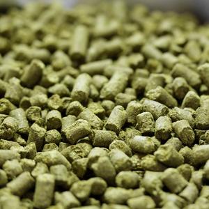 2023 US Bergamot T90 Hop Pellets Outlet Footaction