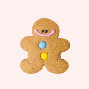 Gingerbread - Funfetti Free Shipping Huge Surprise