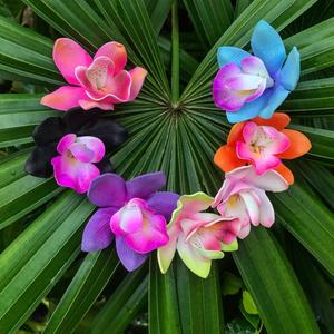 Orchid Flower Discount Big Discount