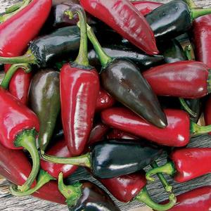 Pepper, Black Hungarian (organic) Discount Footlocker Pictures