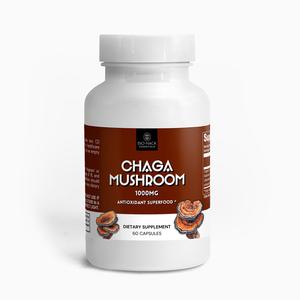 Chaga Mushroom Outlet Store Cheap Pice