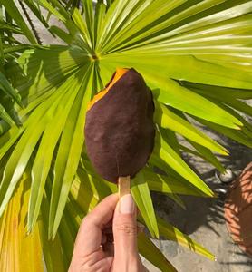 Frozen Mango Pops 6 pieces (55-70 gms/pc) Outlet Locations Sale Online