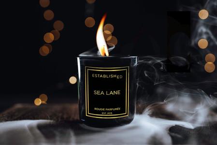 SEA LANE Quality Free Shipping