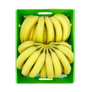 Banana Ecuador 13Kg Outlet Store Cheap Pice
