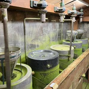 Organic Handpicked Sae Midori Ceremonial Matcha View Cheap Online