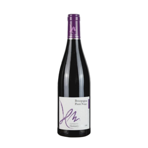 Bourgogne Pinot Noir, Domaine Heresztyn-Mazzini 2021 Newest For Sale