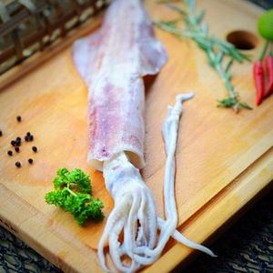 Fresh Squid (Per Kg) Buy Cheap Get Authentic