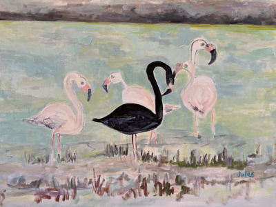 Rare Bird Clearance Recommend