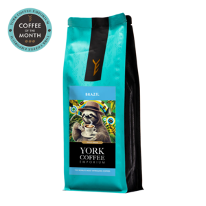Brazil Fermentado Discount 2025 Unisex