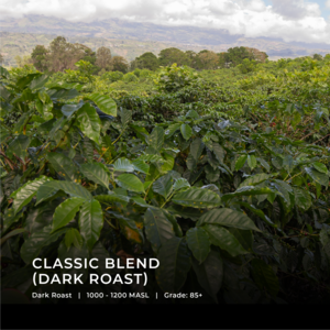 Classic Blend Buy Online Cheap Pice