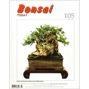 Bonsai Today 105 - Out of Print - Rare Cheap Big Sale
