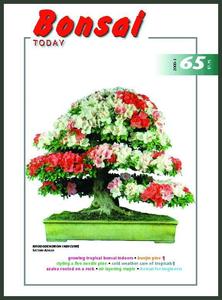 Bonsai Today 65 - Out of Print - Rare Visa Payment