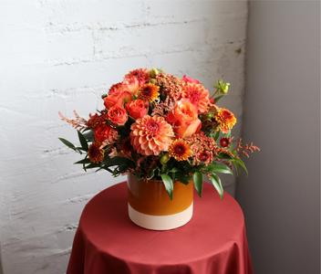 Pumpkin Spice Fashionable Cheap Pice