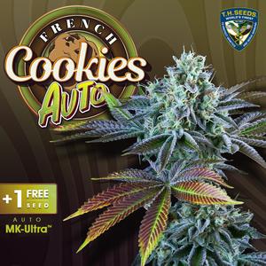 French Cookies By T.HSeeds 5semis 1gratis Automatica Cheap Sale Eastbay