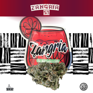 ZANGRIA S1 Best Pices