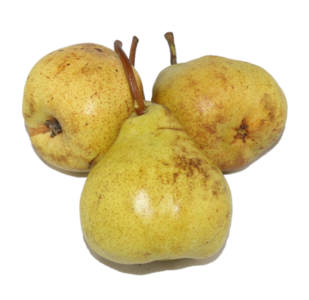 Pear - Packham Collections For Sale