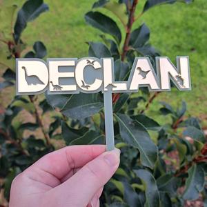 'Dinosaur Name' Acrylic Cake Topper Discounts Sale Online