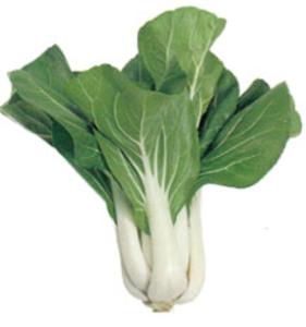 Bok Choi Purchase Cheap Pice
