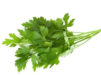 Herbs - Parsley Continental Buy Cheap Inexpensive