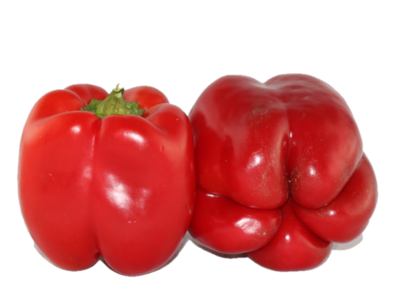 Capsicum - Red Clearance Online