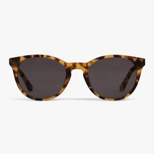 rebro Light Turtle Buy Cheap Best Pices