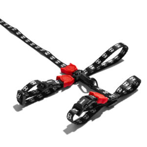 Zee.Cat Harness Leash - Skull High Quality Buy Online