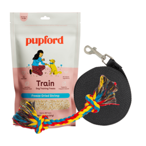 Training Starter Pack with Shrimp and Small Lead Cheap Sale Tumblr
