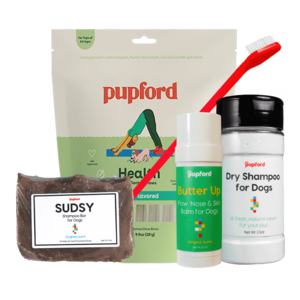 Pup Hygiene Pack Sale For Nice