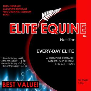 Elite Equine Every-Day Elite Recommend For Sale