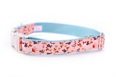 Flower Garden on Pink Collar Buy Cheap Visit