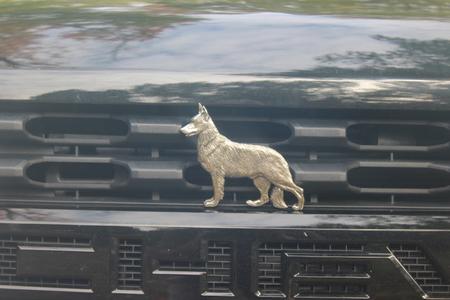 German Shepherd - Free Shipping Discount Eastbay