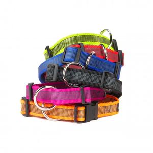 Colour & Gray Webbed Dog Collars Discount Nicekicks